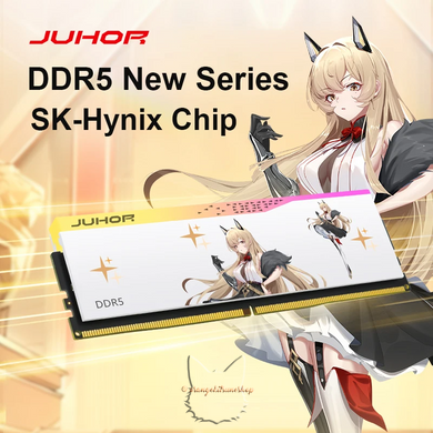 Оперативна пам'ять (ОЗП) JUHOR DDR5 RGB 16GB 6400MHz Hynix Original Chip T2