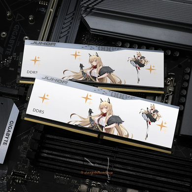 RAM JUHOR DDR5 RGB 16GB 6400MHz Hynix Original Chip T2