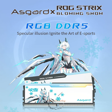 Оперативная память (ОЗУ) Asgard & Blowing Snow Rog Strix DDR5 RGB 16GBx2 6800MHz Hynix H5CG48AGBD